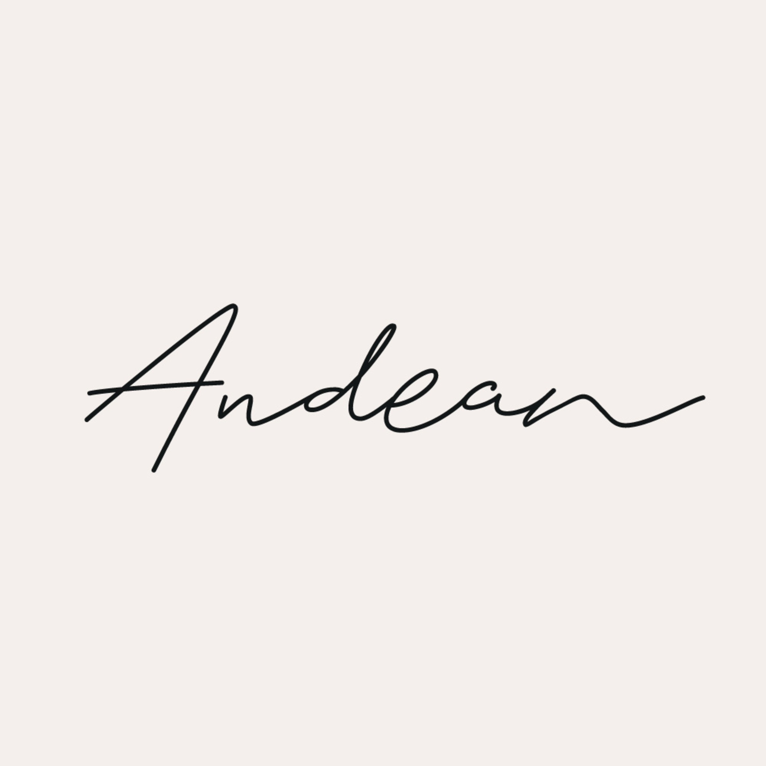 Andean logo